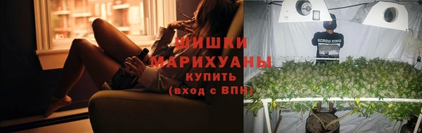 ПСИЛОЦИБИНОВЫЕ ГРИБЫ Балабаново