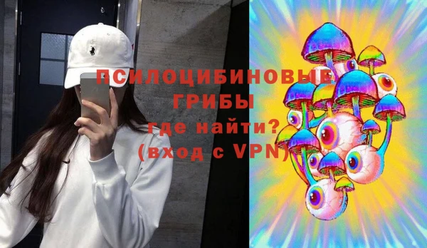 ПСИЛОЦИБИНОВЫЕ ГРИБЫ Балабаново