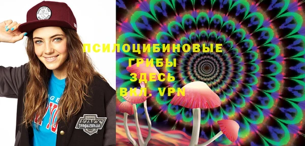 тгк Новозыбков