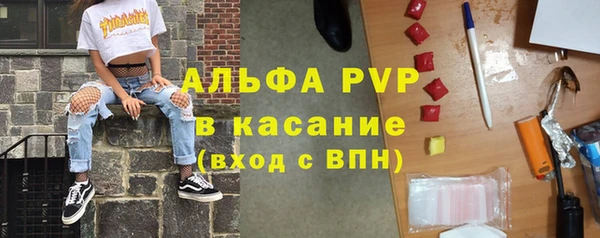 ешки Аркадак
