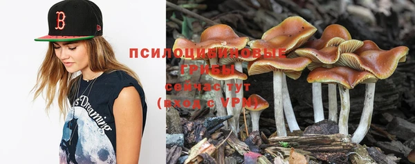 дмт Баксан
